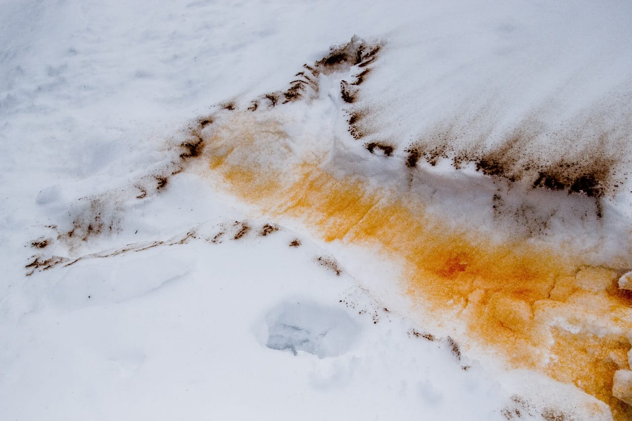 A silueta for Mendieta