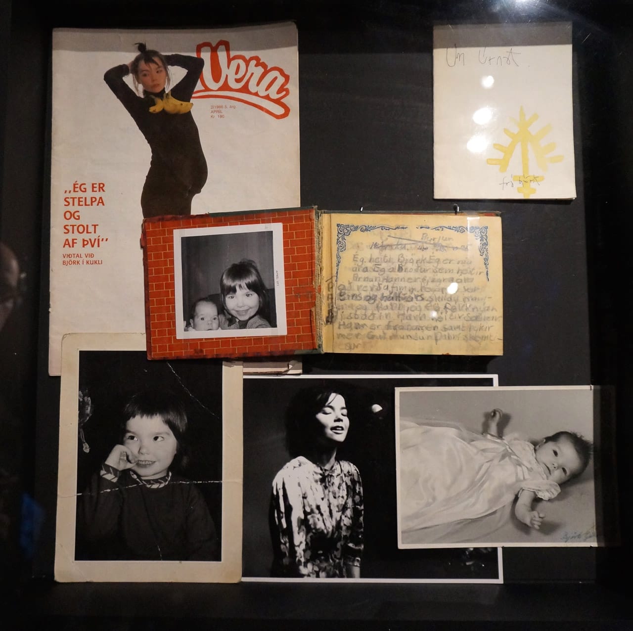 Björk ephemera and photos (photo by Jillian Steinhauer/Hyperallergic)