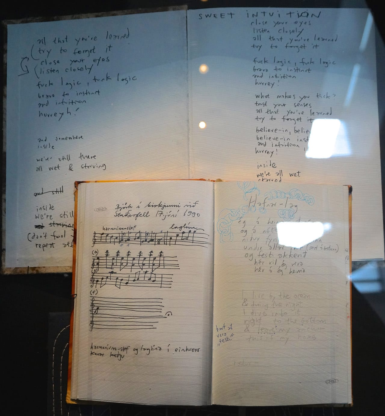 Some of Bjork's notebooks in the "Songlines" portion of the exhibition (photo by Jillian Steinhauer/Hyperallergic)