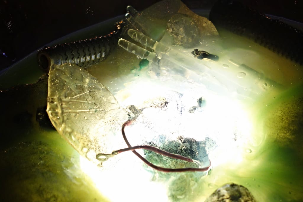'Gazing Globes' by Paula Hayes in Madison Square Park