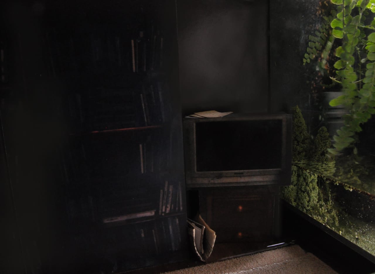 Helene Kazan, "A Domestic Image of Preemption" (2013)