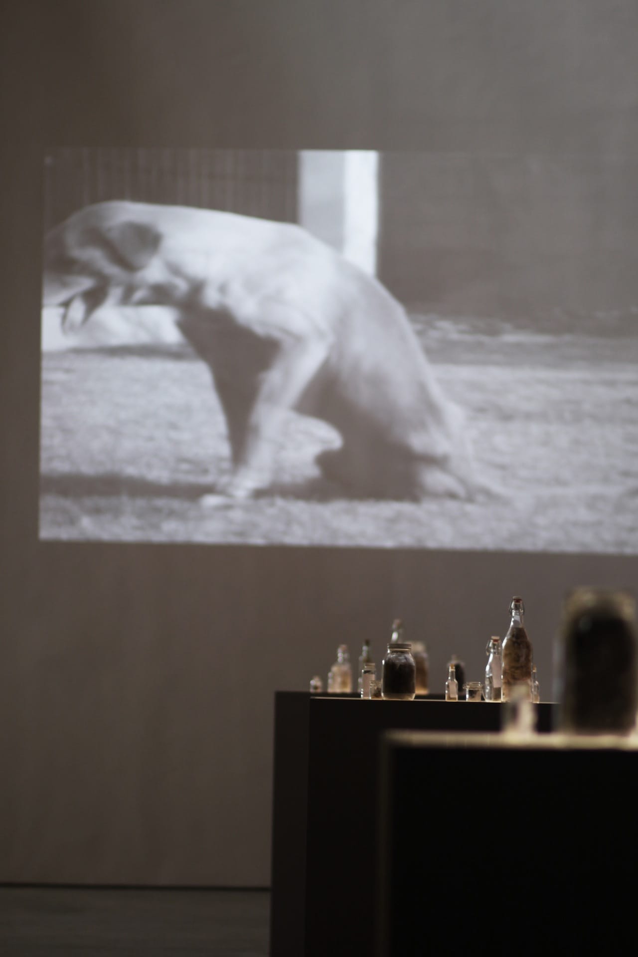 Araya Rasdjarmrearnsook, "Some unexpected events sometimes bring momentary happiness, 2009. Single channel video, Black and white, silent.