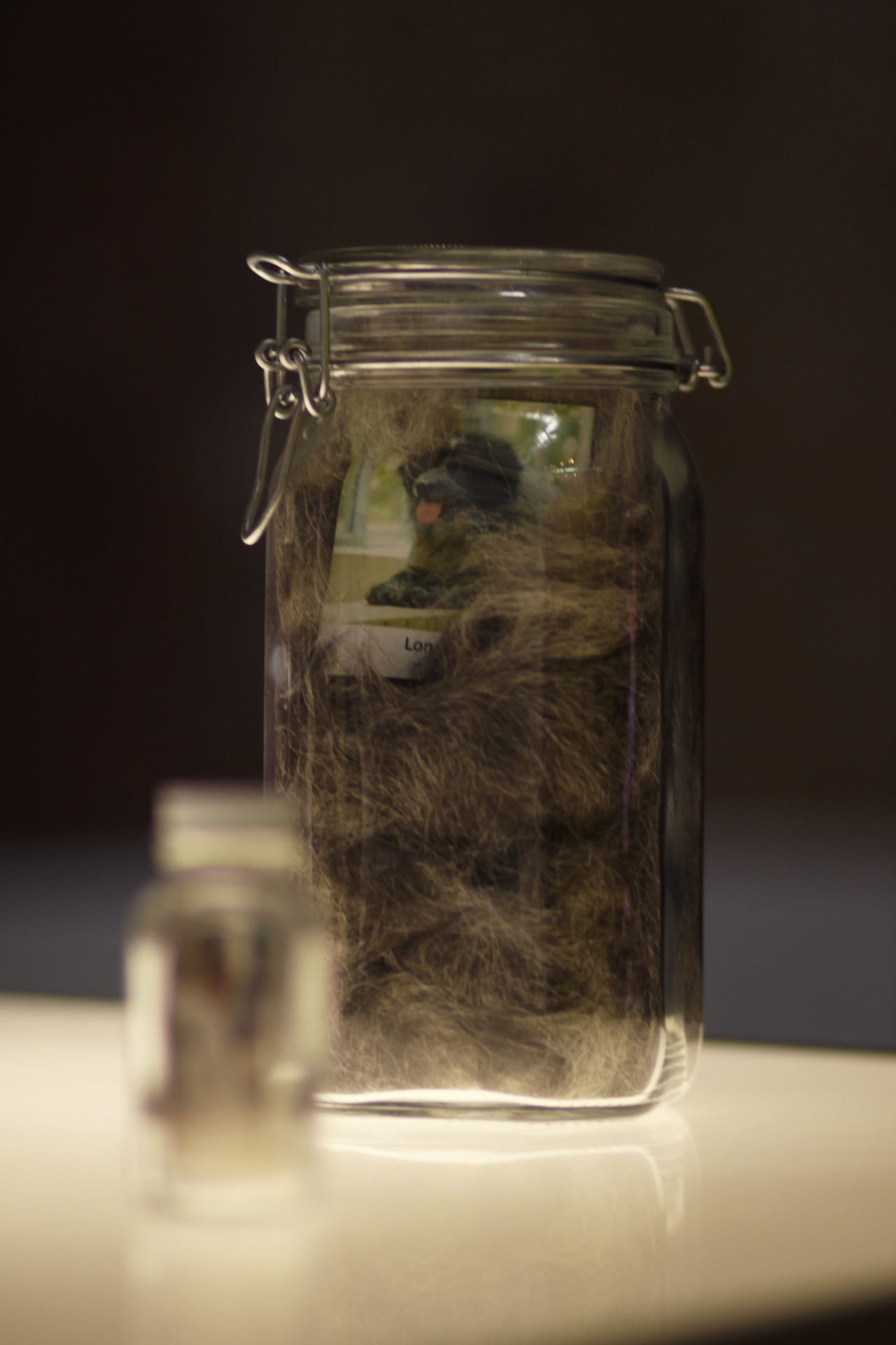 Araya Rasdjarmrearnsook, Long, glass jar, dog hair, Digital pigment prints. Dimensions unavailable.