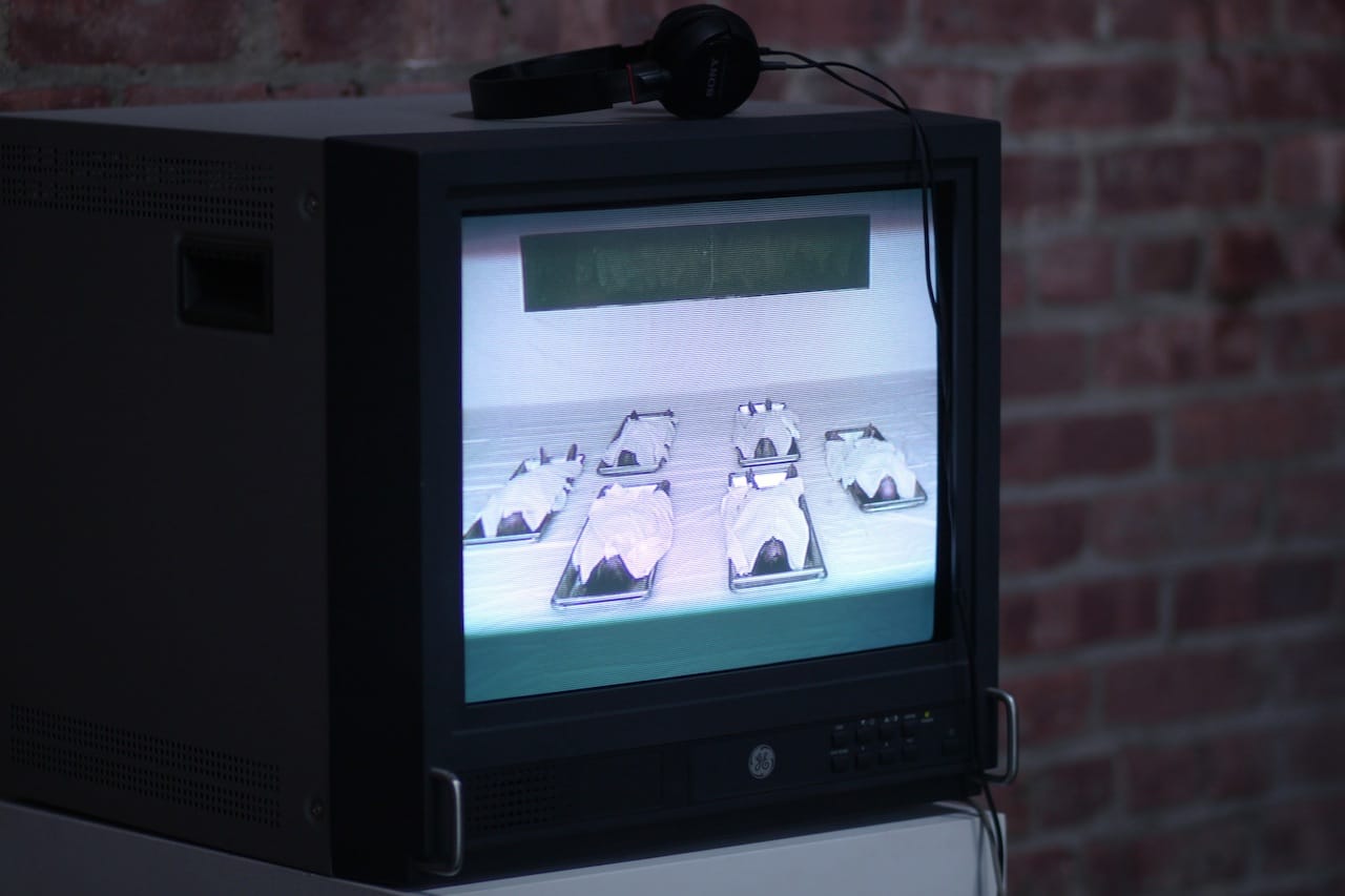 Araya Rasdjarmreanrnsook, The Class, 2005. Single channel video, color, sound.