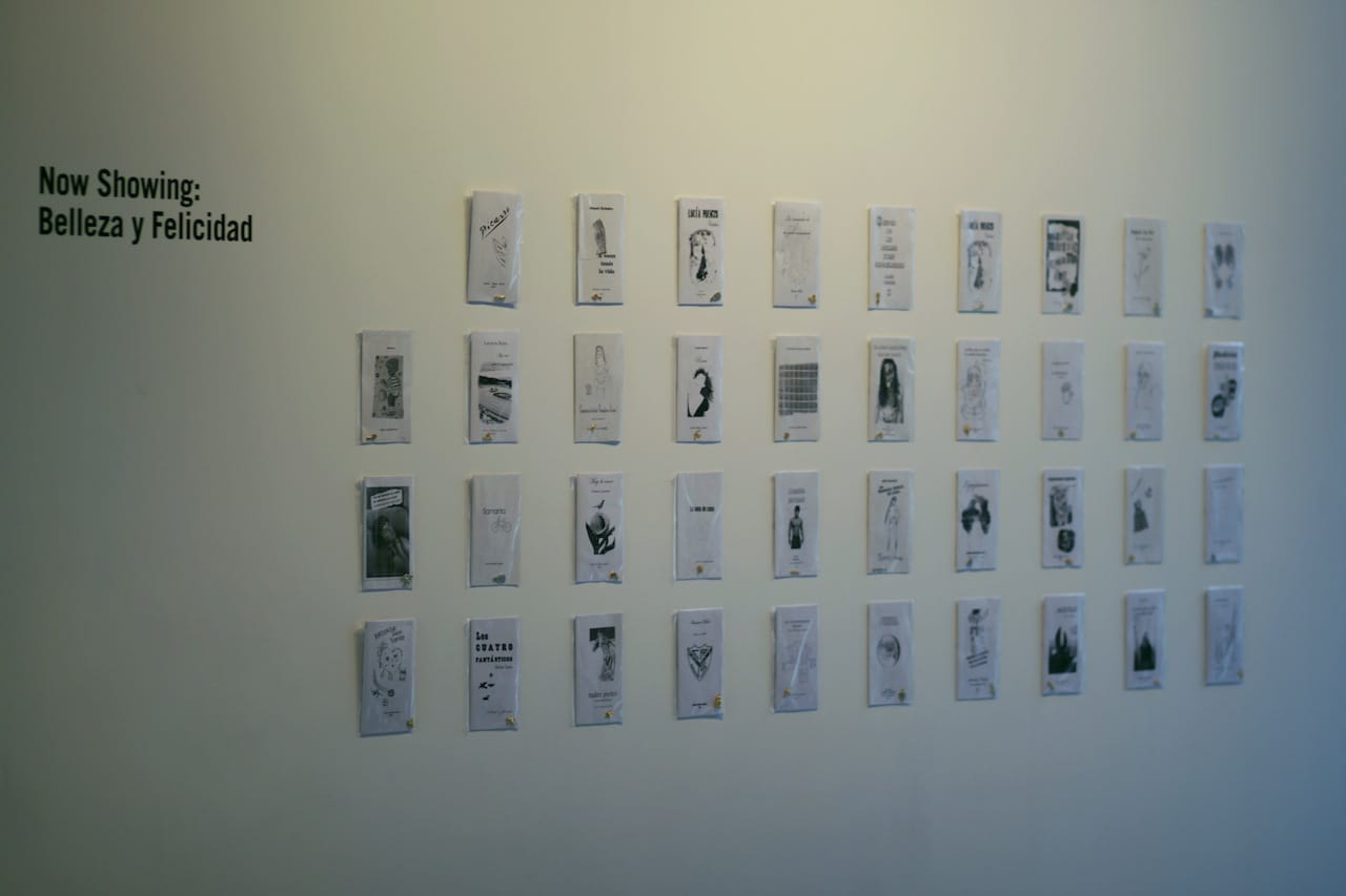 Installation view, Now Showing: Belleza y Felicidad
