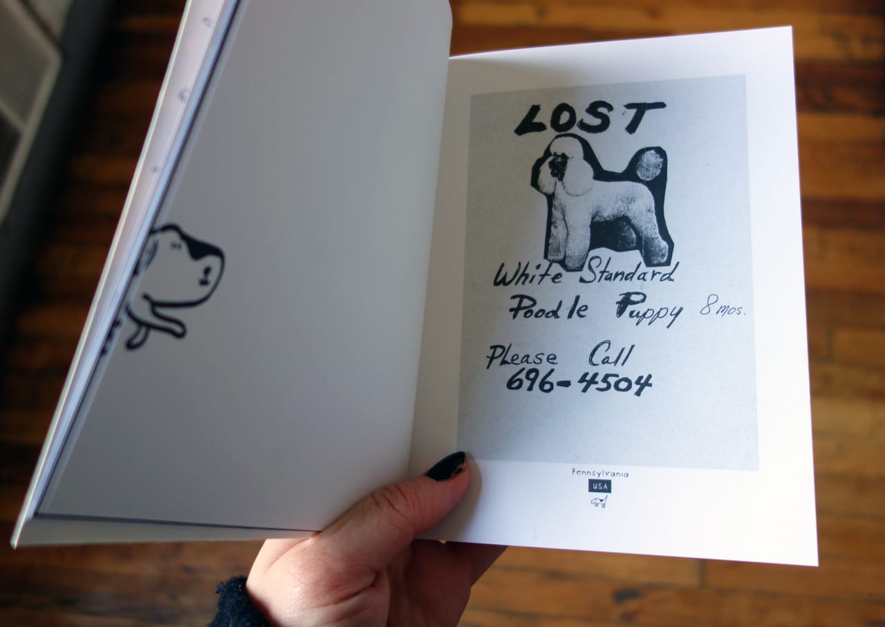 Pages from 'Lost' by Ian Phillips (photo for Hyperallergic)