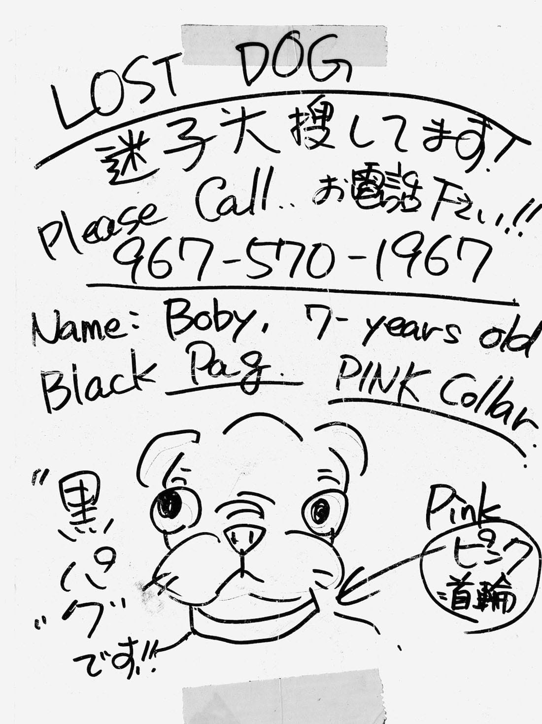 'Lost: Lost and Found Pet Posters from Around the World' by Ian Phillips (courtesy Princeton Architectural Press, 2015)