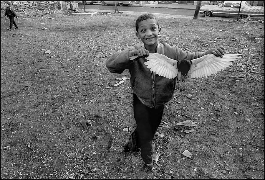 George Malave (En Foco), "Boy with Dead Bird" (1969, printed 2011), from the series 'Varet Street'