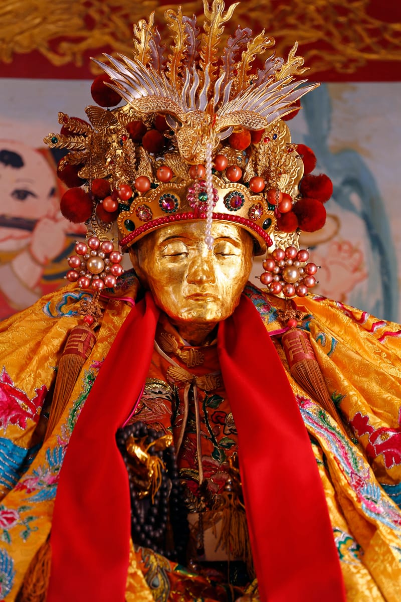  (©2015 Dr. Paul Koudounaris)