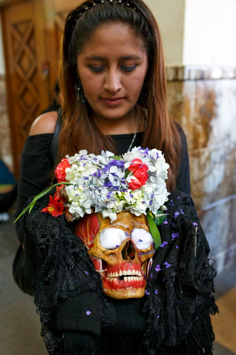  (©2015 Dr. Paul Koudounaris)