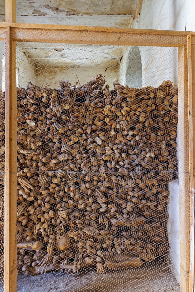  (©2015 Dr. Paul Koudounaris)