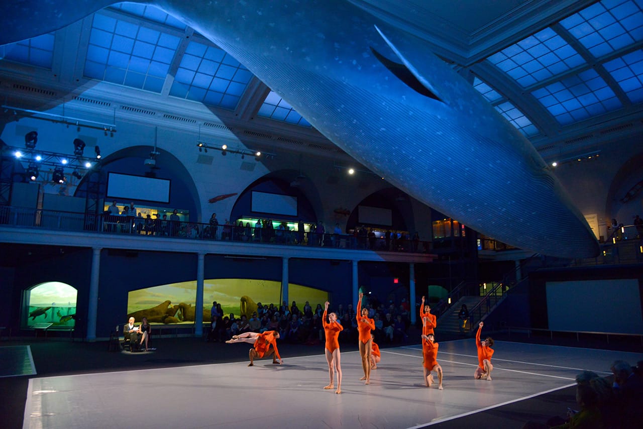 'On the Nature of Things'