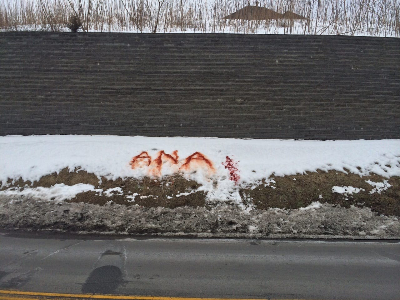 Ana Mendieta's name in fake blood the snow