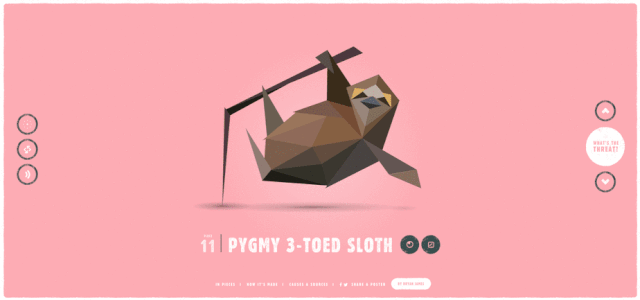 Pygmy Three-Toed Sloth on 'In Pieces' (GIF by the author for Hyperallergic)