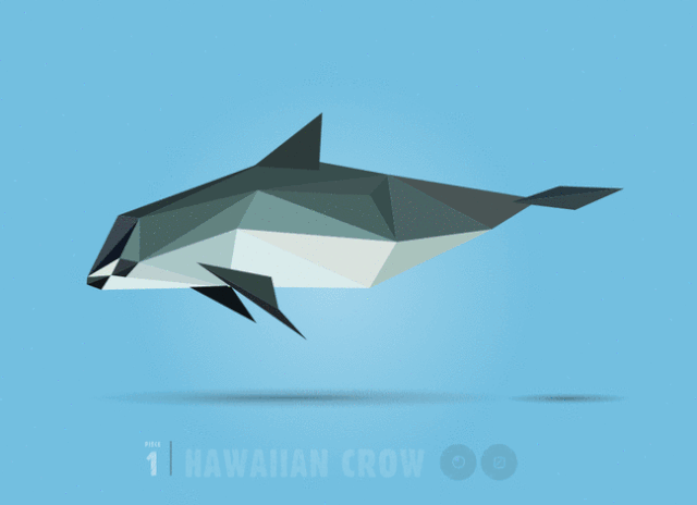 Vaquita transforming into a Hawaiian Crow on 'In Pieces' (GIF by the author for Hyperallergic)