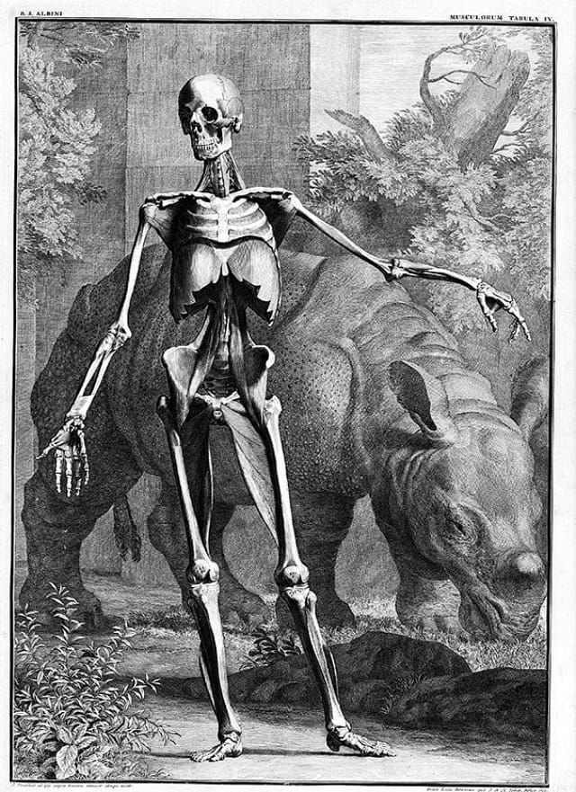 Strange Creatures: The Art of Unknown Animals