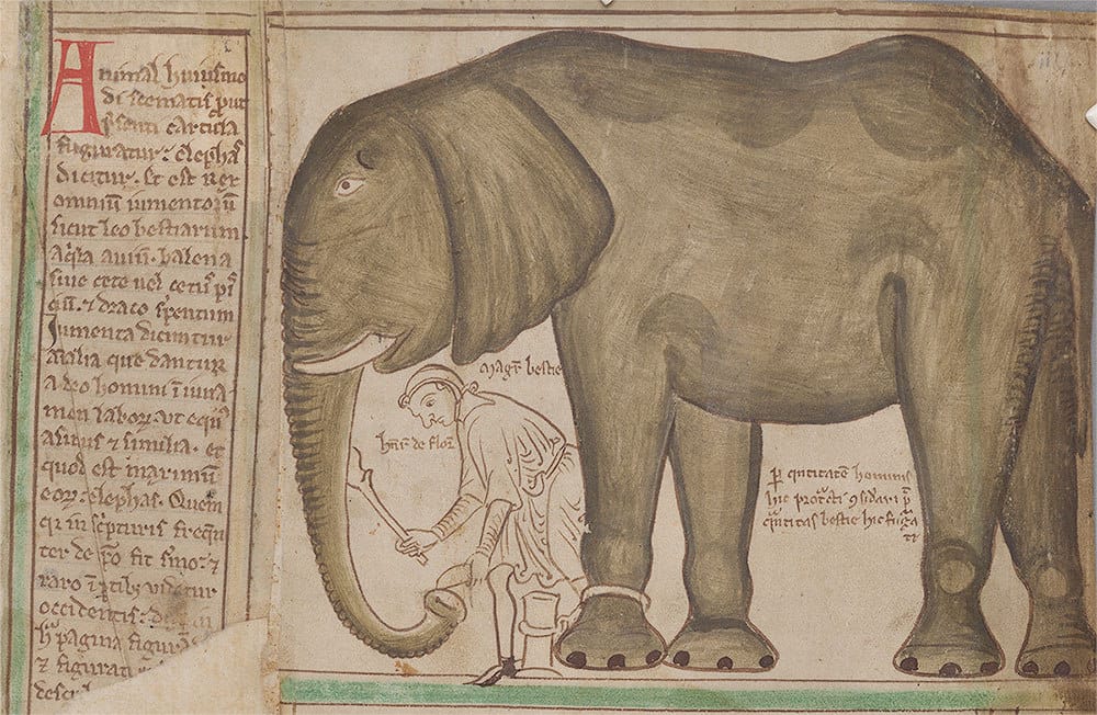 Strange Creatures: The Art of Unknown Animals