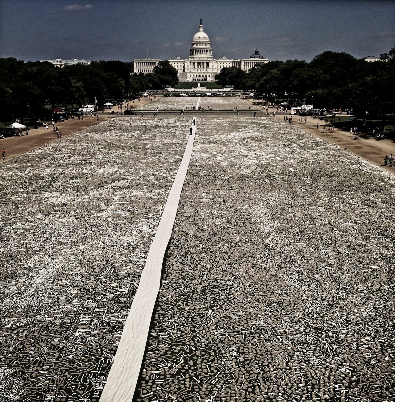 The installation of one million bones on the National Mall (Photography by Teru Kuwayama)