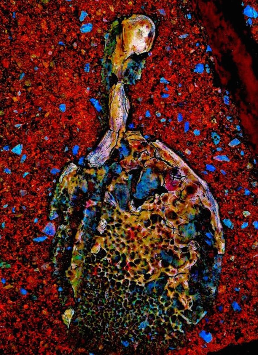 Shawn Walker (Kamoinge), "Misterioso" (nd), from the series 'Painting with Light' (click to enlarge)