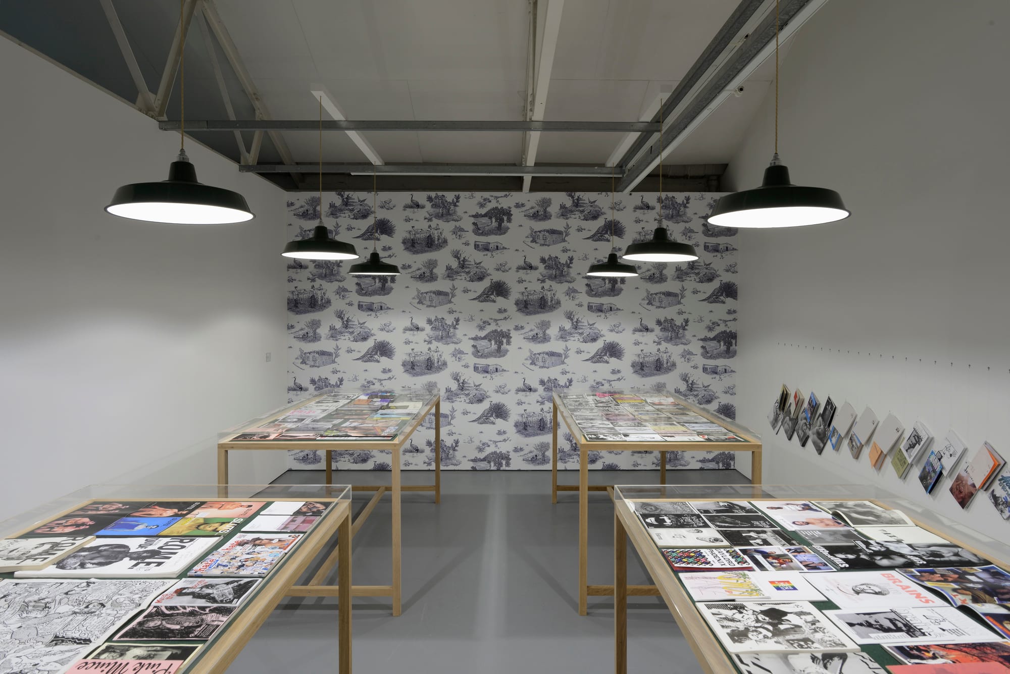 BRONA-MaureenPaley-2015-G-300