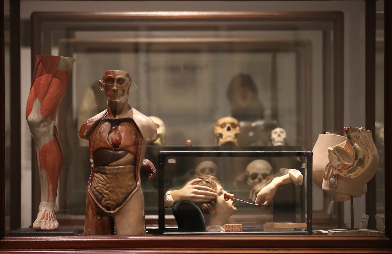 LONDON, ENGLAND - FEBRUARY 11: Magnificent Obsessions: The Artist as Collector exhibition at the Barbican Art Gallery on February 11, 2015 in London, England. This is the first major exhibition in the UK to present the personal collections of post-war and contemporary artists. Ranging from mass-produced memorabilia and popular collectibles to one-of-a-kind curiosities, rare artefacts and specimens, these collections provide insight into the inspirations, influences, motives and obsessions of artists. Magnificent Obsessions: The Artist as Collector opens at the Barbican Art Gallery in London on February 12, 2015 until - May 25, 2015. (Photo by Peter Macdiarmid/Getty Images for Barbican Art Gallery)