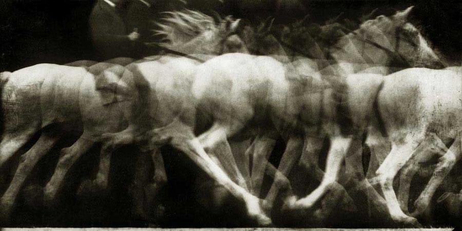 The movement of a running white horse (1886), photographed by Étienne-Jules Marey (via Wikimedia)