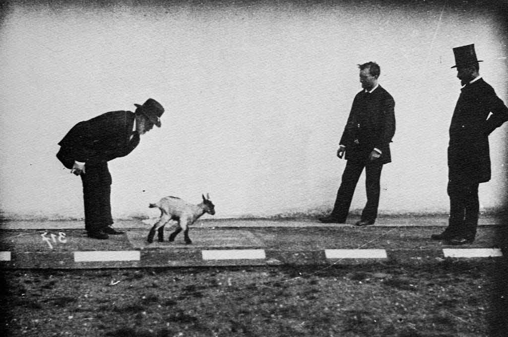Étienne-Jules Marey at left with Georges Demenÿ at right with a kid goat in a physiological study (pre-1904) (via Wikimedia)