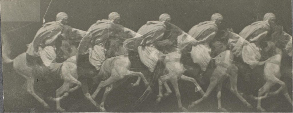 "Arab Horse Gallup" (1887), gelatin silver print photographed by Étienne-Jules Marey (via Museum of Fine Arts, Houston)