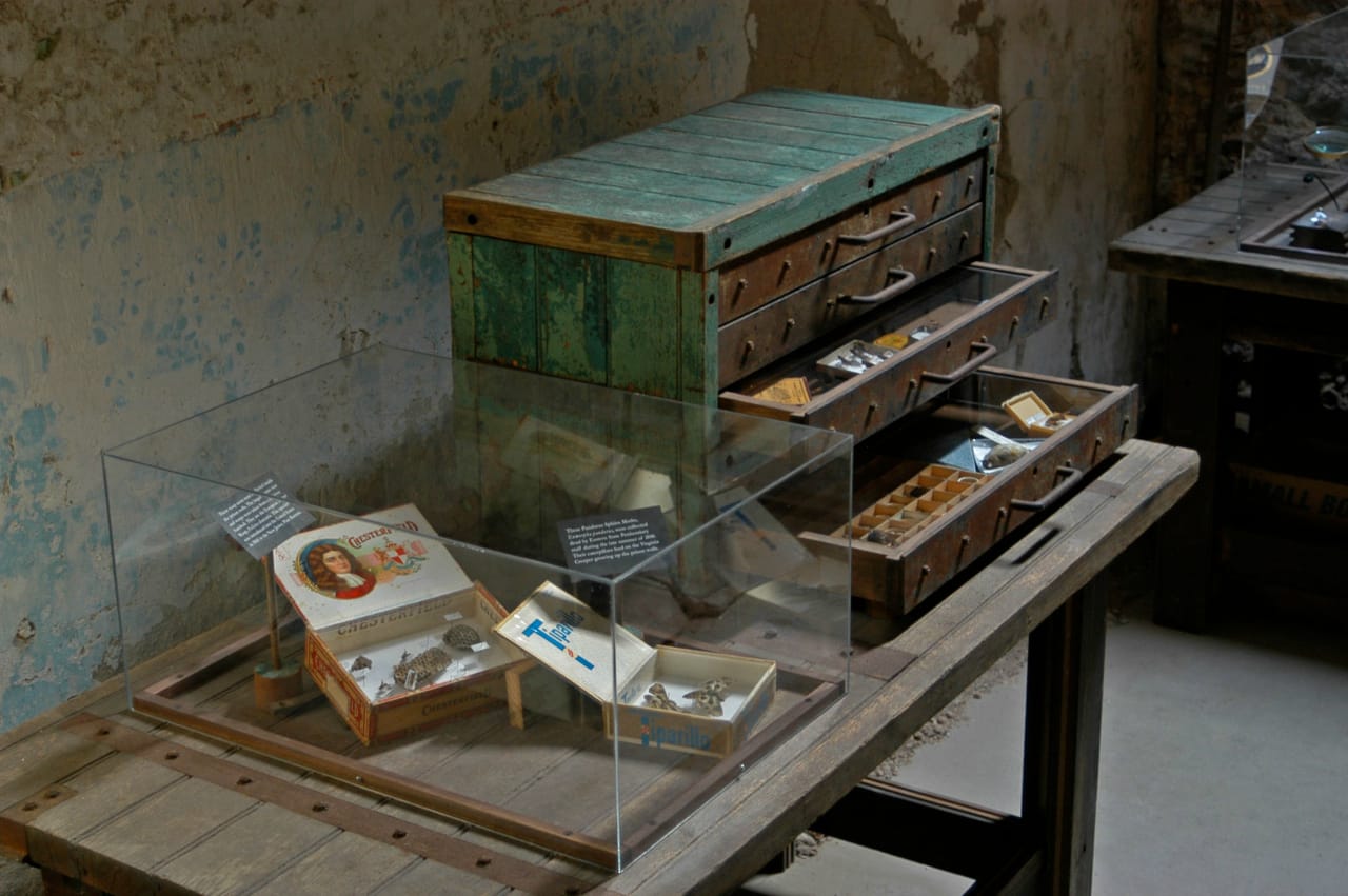 Greg Cowper, 'Specimen' installed at Eastern State Penitentiary (photo by the artist, courtesy Eastern State Penitentiary)