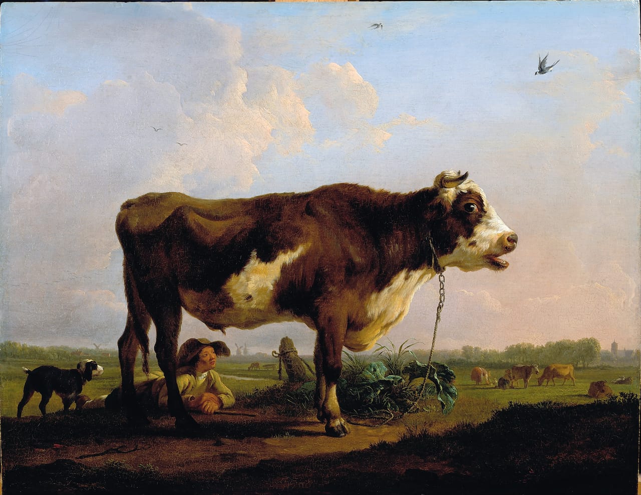 Balthazar Paul Ommeganck, "A Bull" (before 1785) (Dulwich Picture Gallery, via Wikimedia Commons)