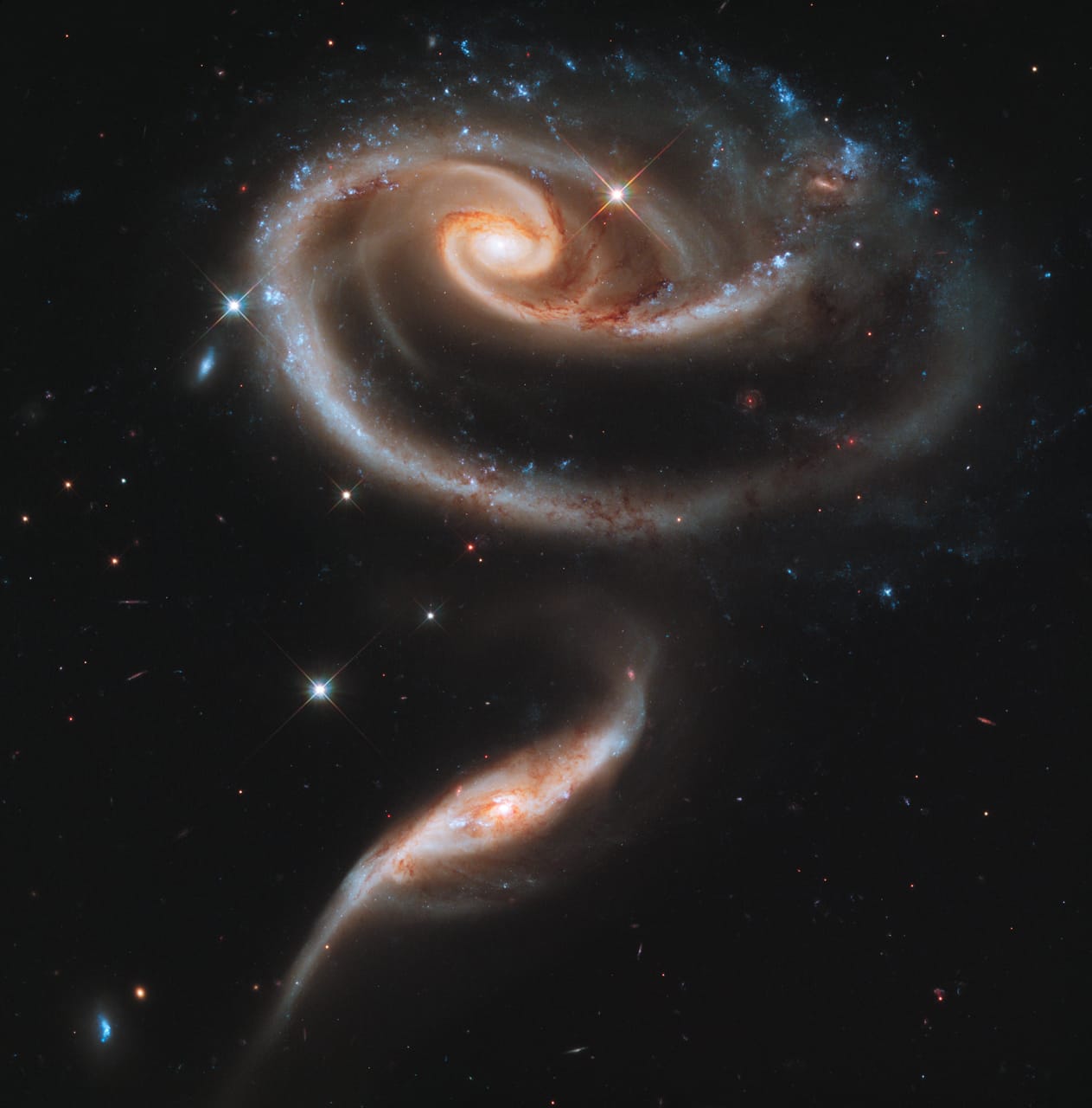A 2011 image of a "rose" of galaxies from the Hubble Space Telescope (courtesy NASA, ESA, and the Hubble Heritage Team (STScI/AURA))