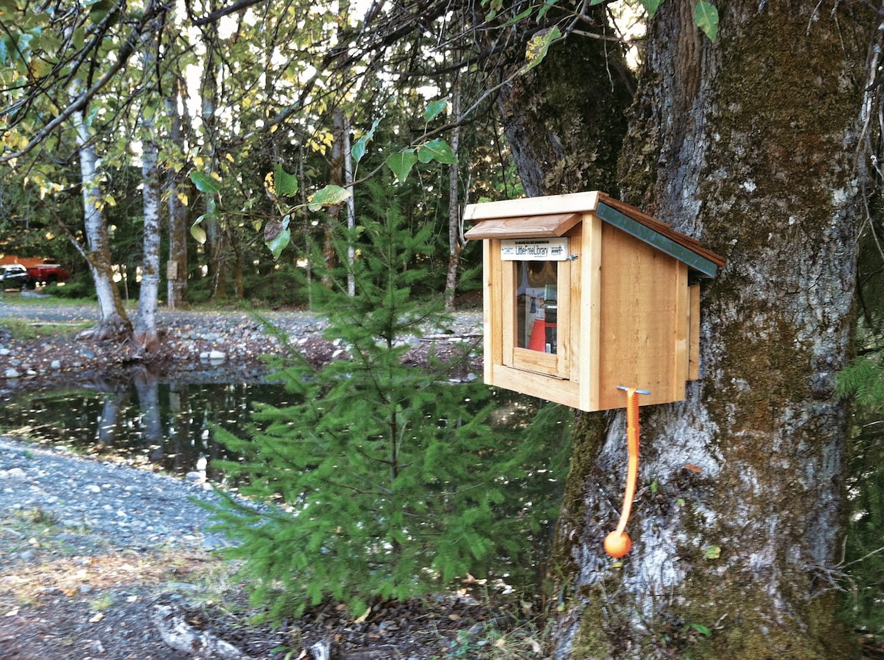 93LittleFreeLib: credit Little Free Library