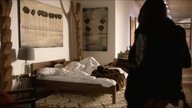 Dogon ladders in Jamal's apartment