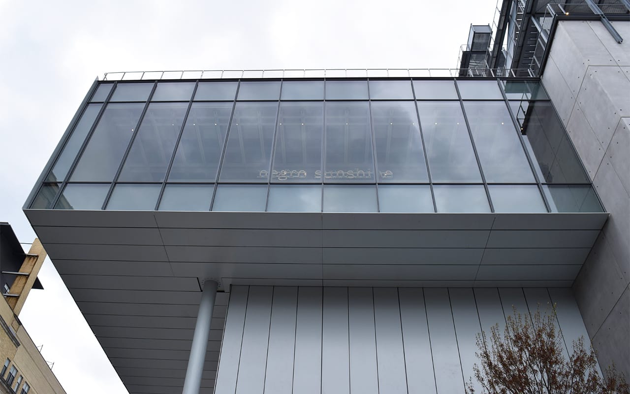 Glenn Ligon's "Rückenfigur" (2009) seen from the street