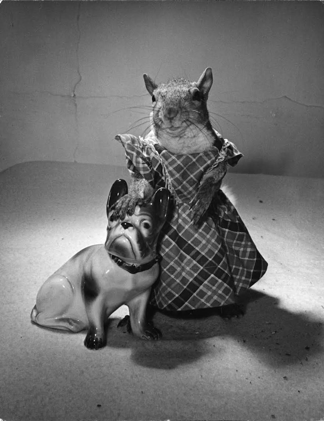 Nina Leen "Tommy Tucker" (1944) (image courtesy of Daniel Cooney Fine Art) 