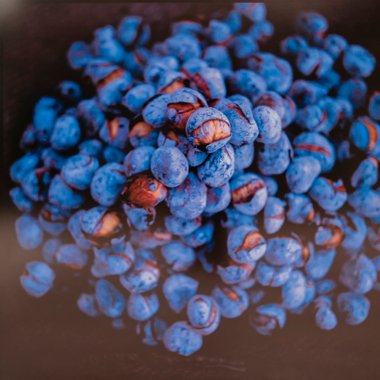 Obra_Miguel_Rio_Branco_Foto_Divulgacao