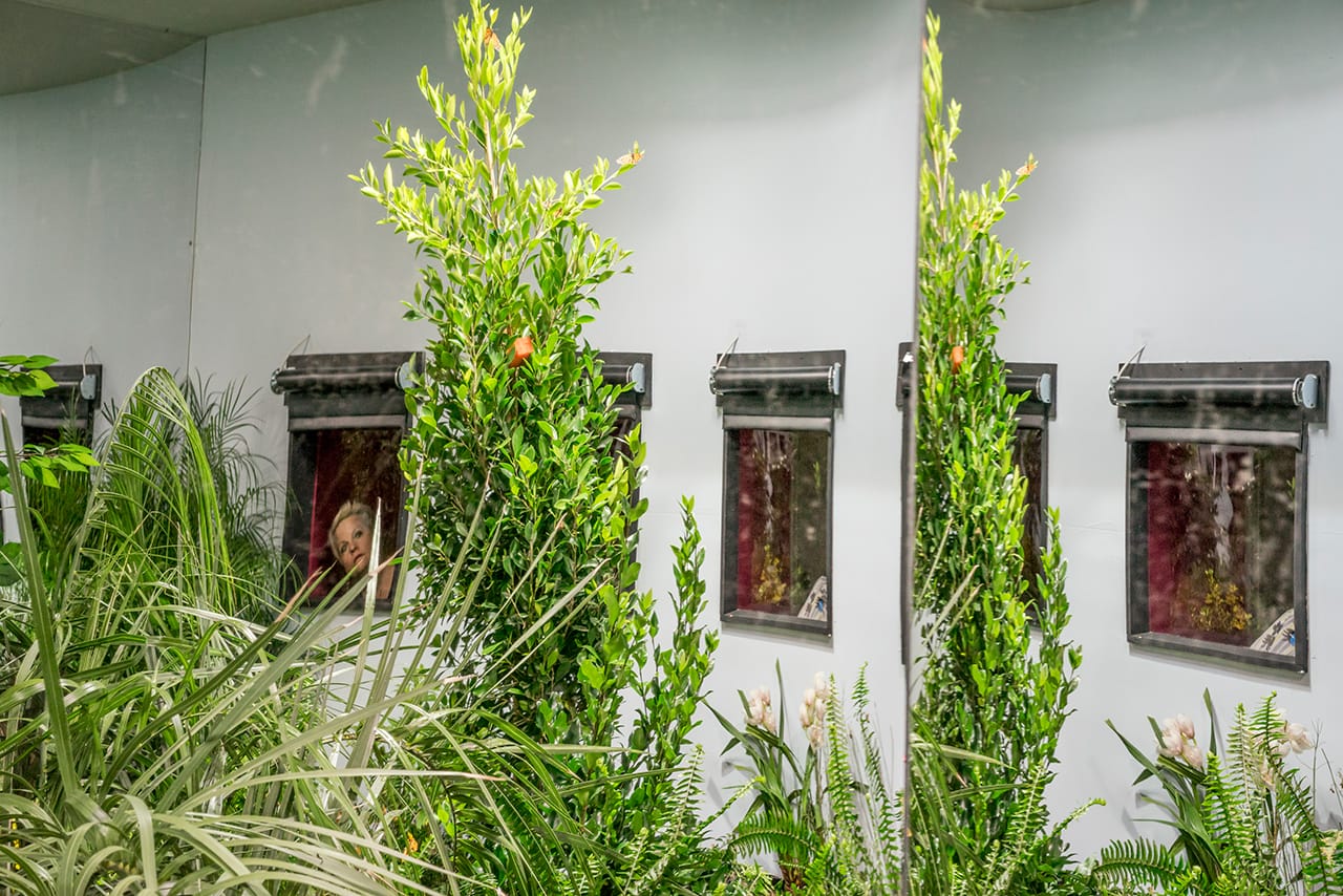 Postcommodity, "Pollination" (2015) 