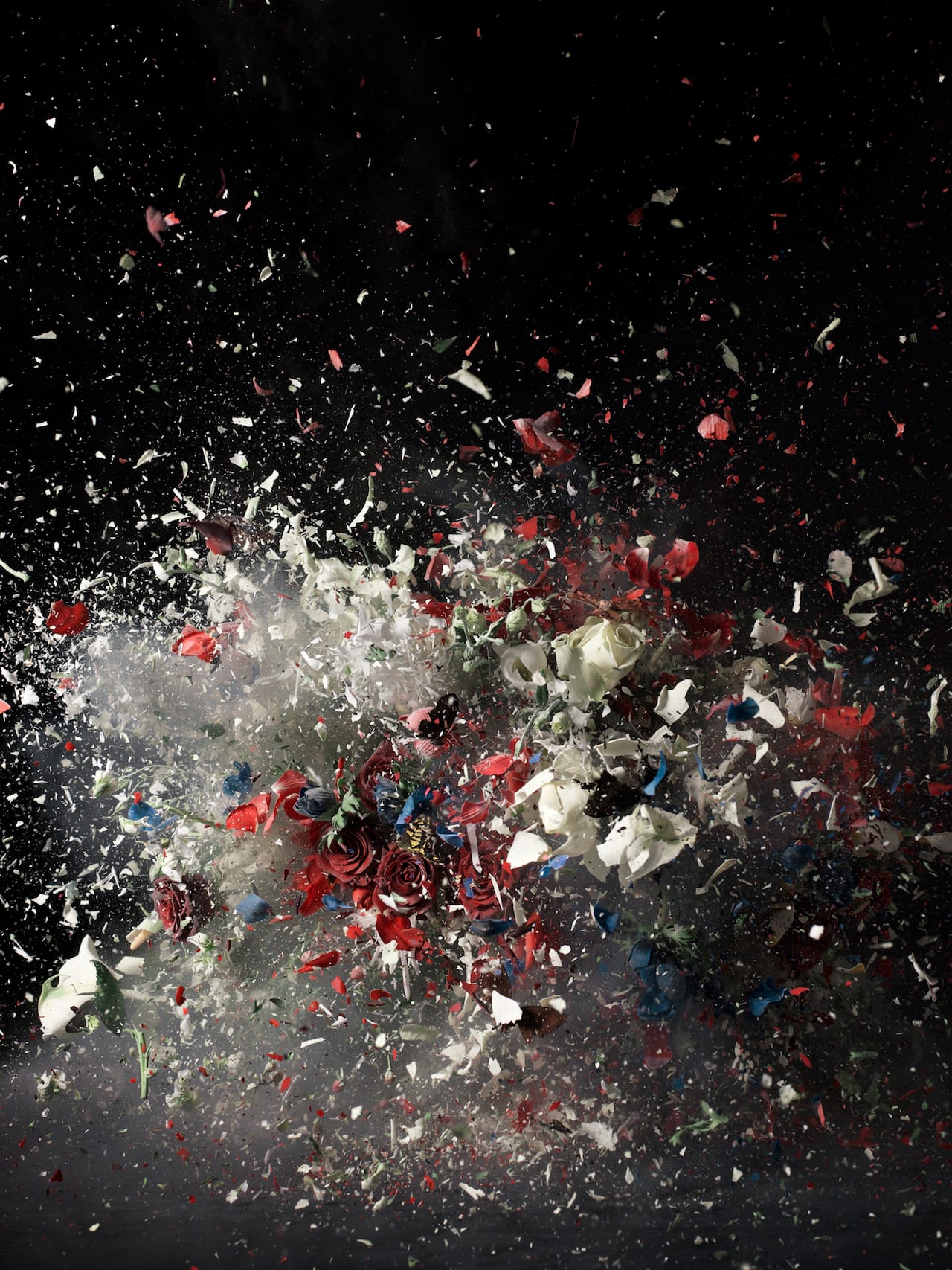 Blow Up, Untitled 1, 2007, Ori Gersht © Ori Gersht, Private Collection, courtesy of Mummery+Schnelle