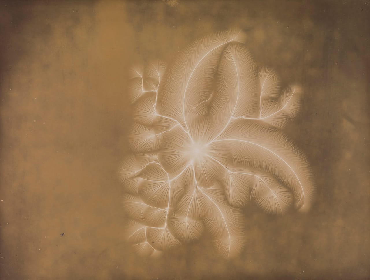 Negative Discharge, 1892, Alan Archibald Campbell Swinton © National Media Museum, Bradford SSPL