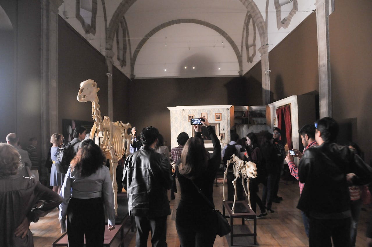 The Darwin exhibit at Museo San il Defonso, which receives government funding