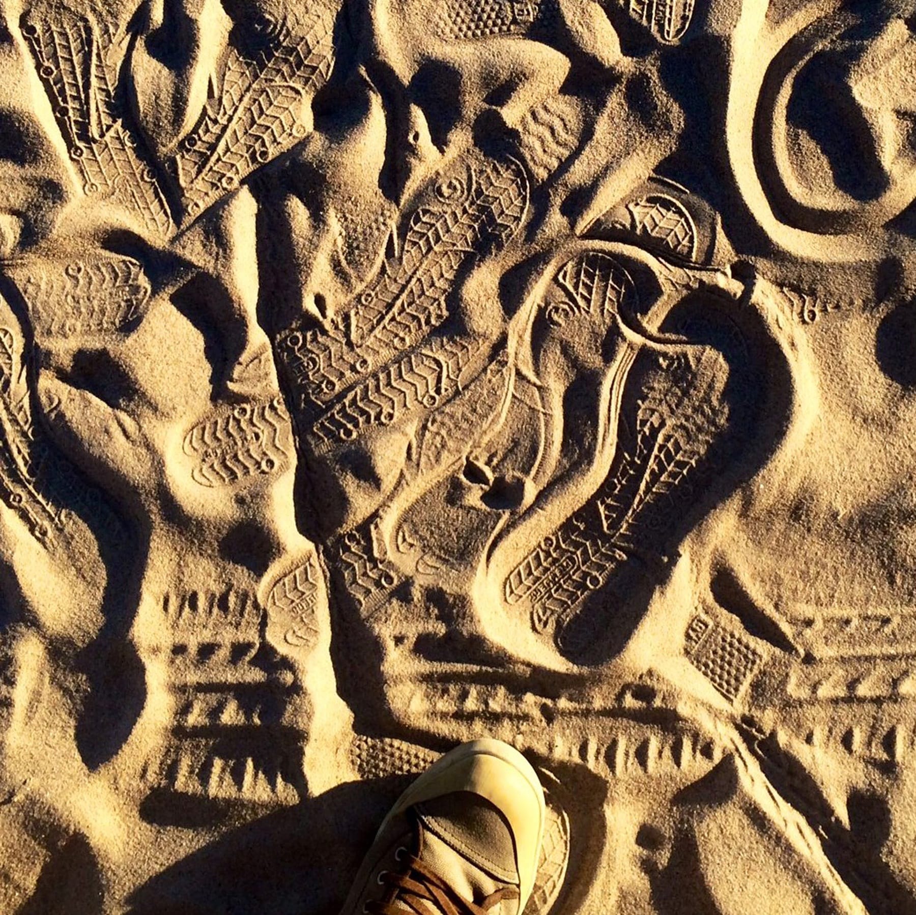 Tribute to the Disappeared_Enright_Nicki_ 43 huellas y una pista (43 footsteps and a track)-