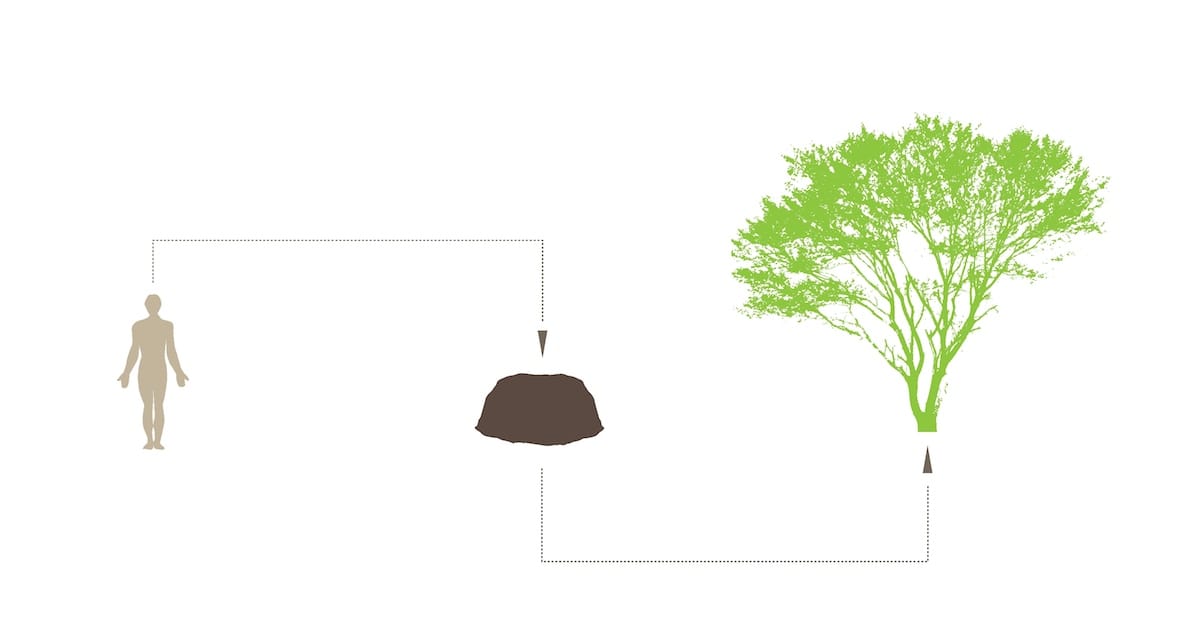 A person to compost to a tree (courtesy Katrina Spade)