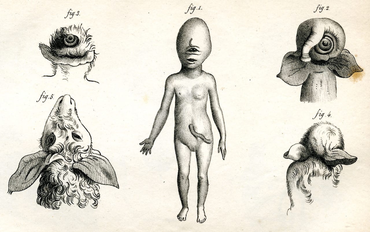 'What Makes a Monster?'