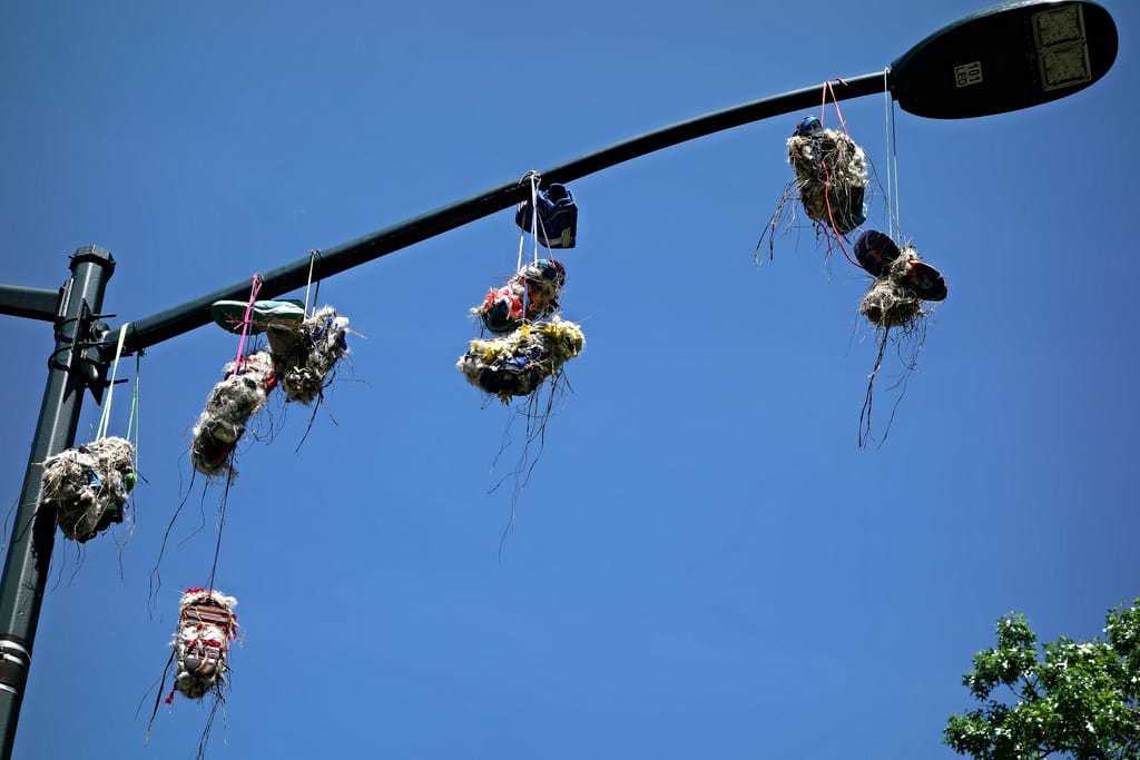 Nina Katchadourian, "The Lampost Weavers," installed on the West Drive of Central Park