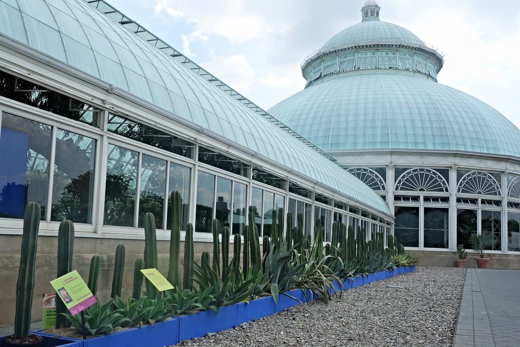 Frida: Art, Garden, Life