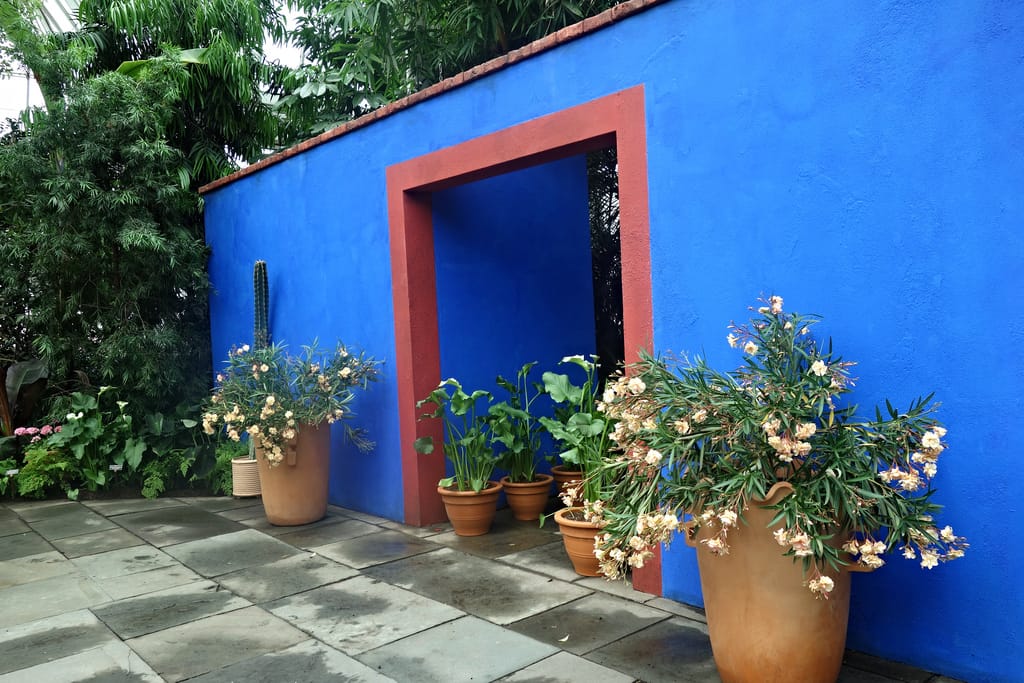 Frida: Art, Garden, Life