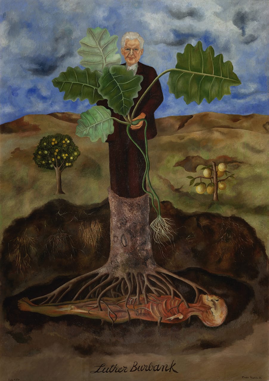 Frida   Kahlo,   Portrait   of    Luther   Burbank,   1931Museo   Dolores    Olmedo,   Xochimilco,    Mexico©   2015    Banco   de   México    Diego   Rivera    Frida   Kahlo    Museums   Trust,    Mexico,   D.F.    /   Artists   Rights   Society   (ARS),   New   Yo