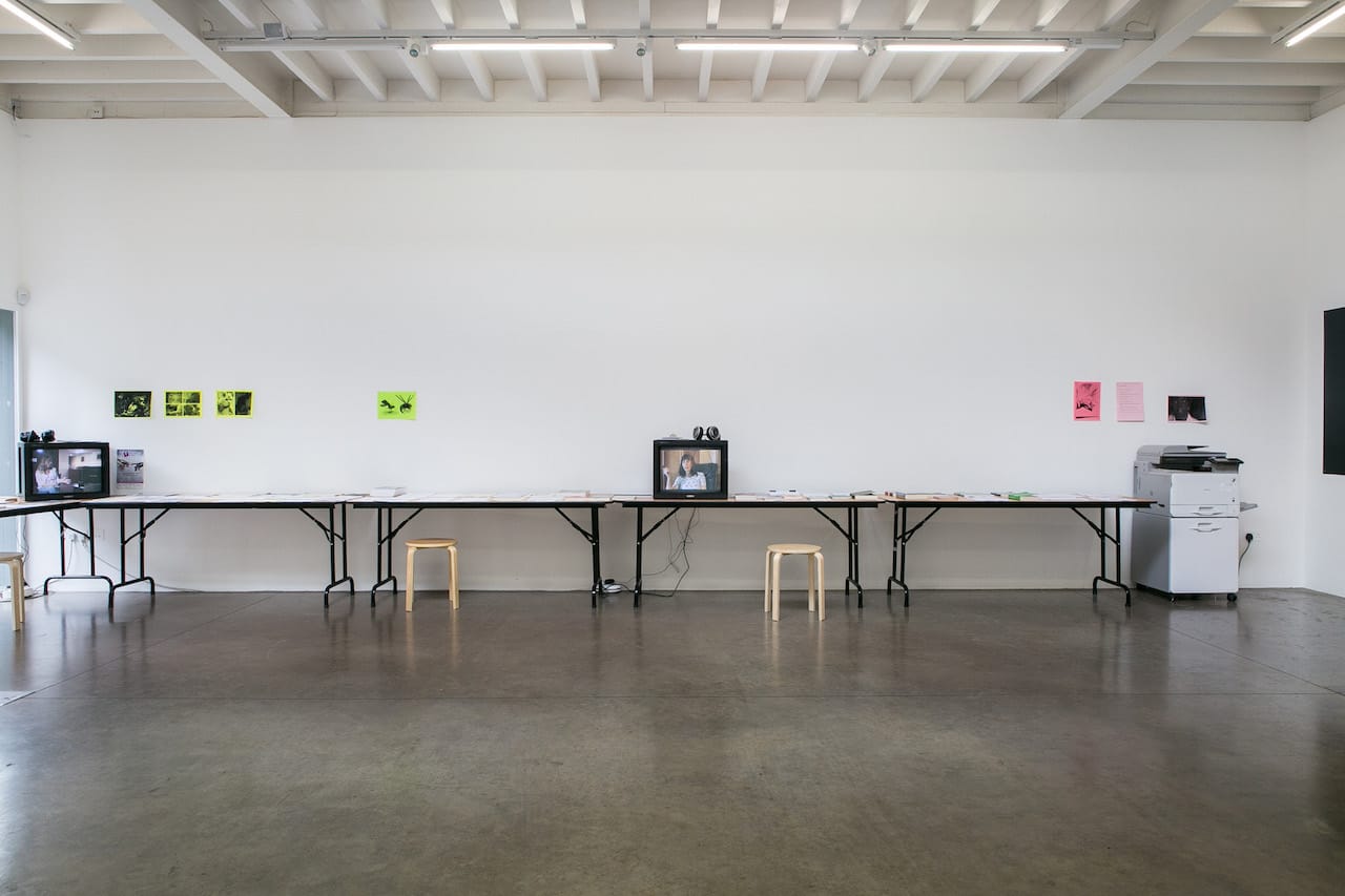 Bonnie Camplin, <em>The Military Industrial Complex</em> installation view, South London Gallery (© the Artist Cabinet London and South London Gallery)