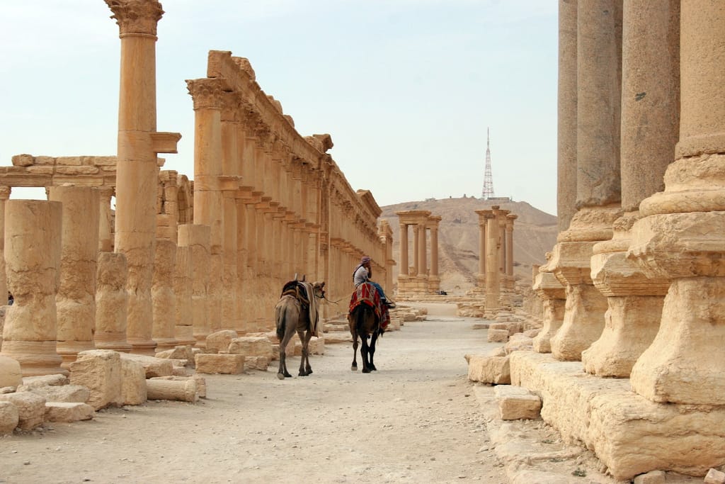 Camels at the site of Palmyra (photo by Gavin, via Flickr)
