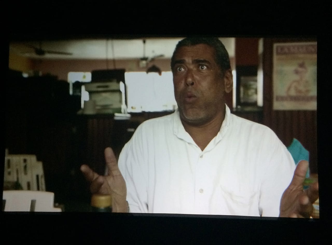 Work by Christophe Chassol in 'EN MAS': Carnival and Performance Art of the Caribbean' at the Contemporary Arts Center New Orleans